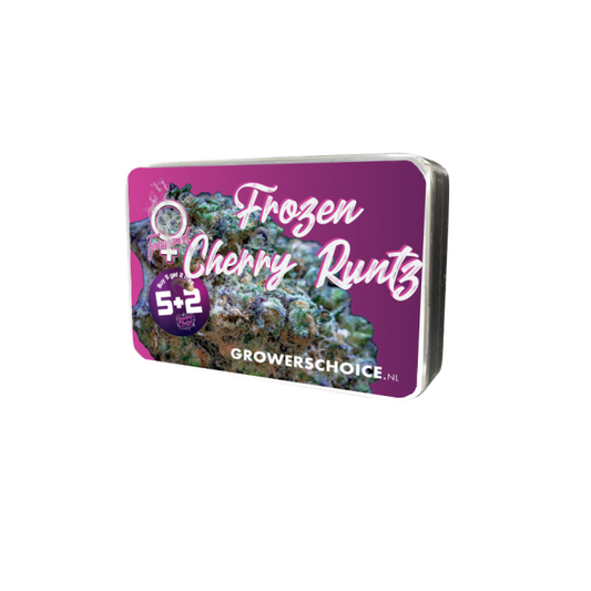 Frozen Cherry Runtz 3 + 1 Seeds - Growers Choice