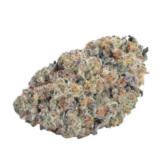 Double donny burger 3 + 1 Seeds - Growers Choice