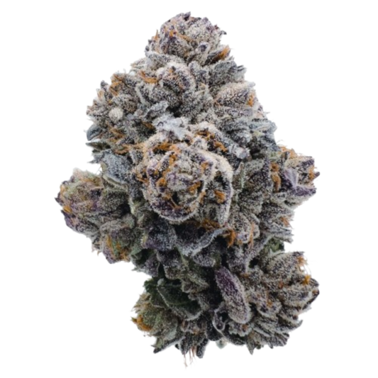 Pink Glitterbomb 3 + 1 Seeds - Growers Choice