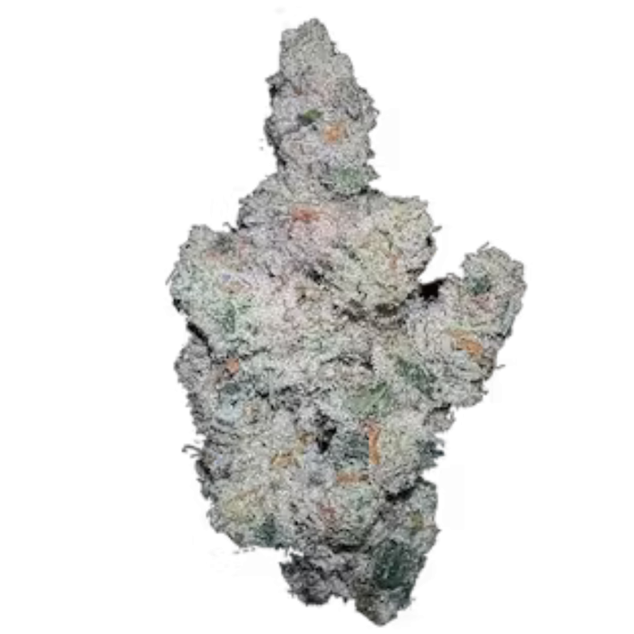 Superboof 3 + 1 Seeds - Growers Choice