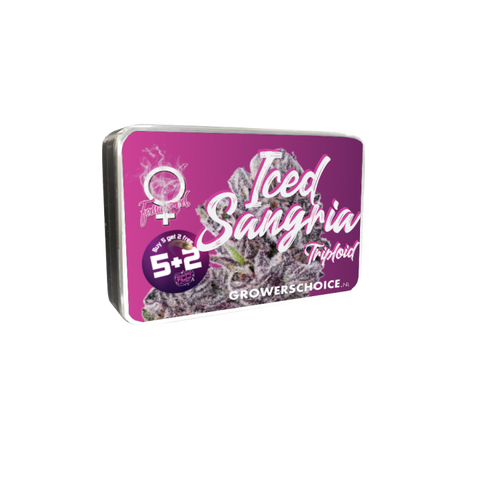 Triploid F1 Iced sangria 3 + 1 Seeds - Growers Choice