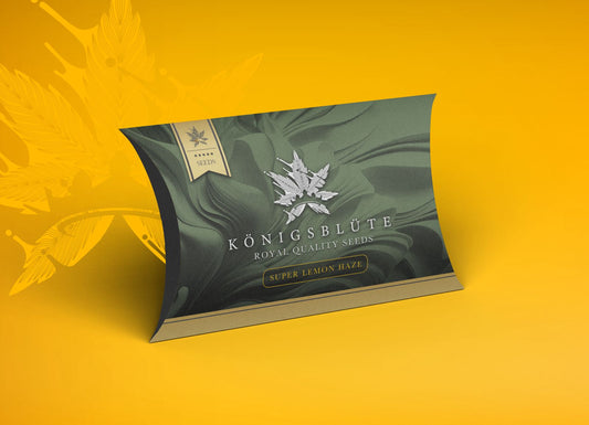 Super Lemon Haze - Königsblüte Royal Quality Seeds - 3 Seeds