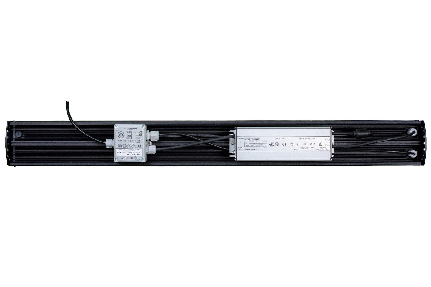 BILBERRY GROW STANDARD 340W