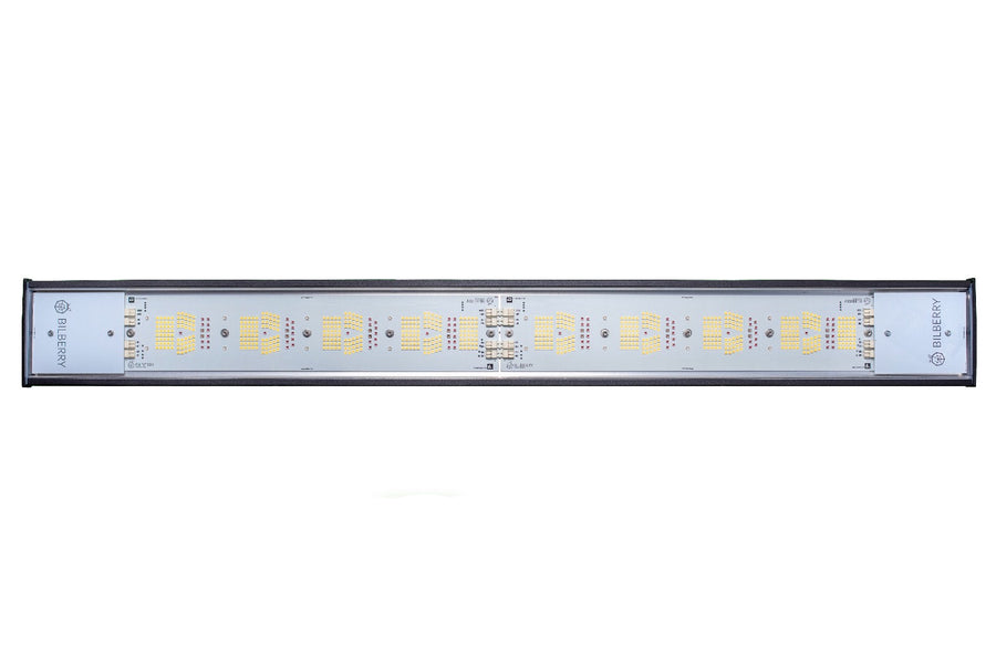 BILBERRY GROW STANDARD 340W