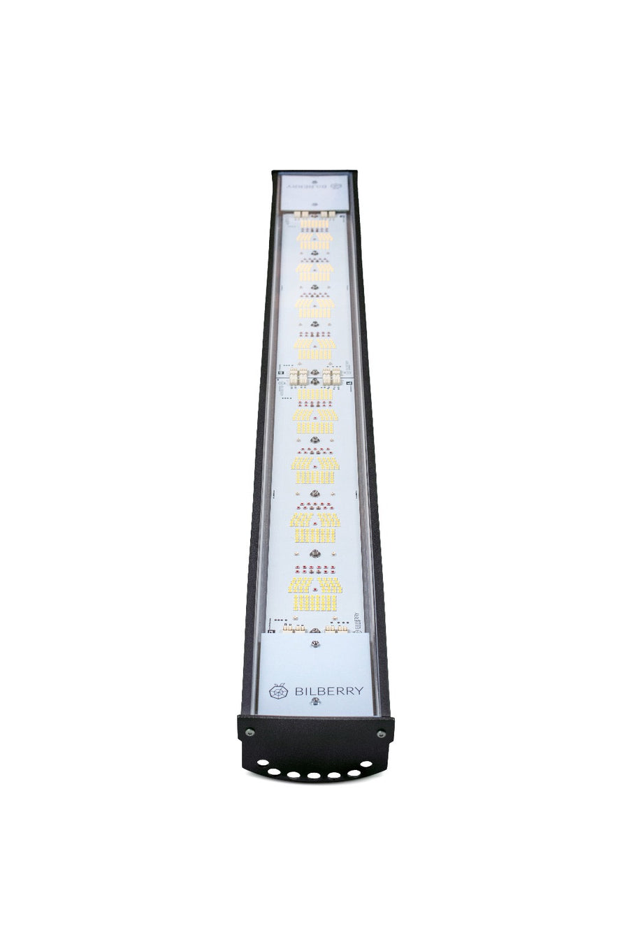 BILBERRY GROW STANDARD 340W