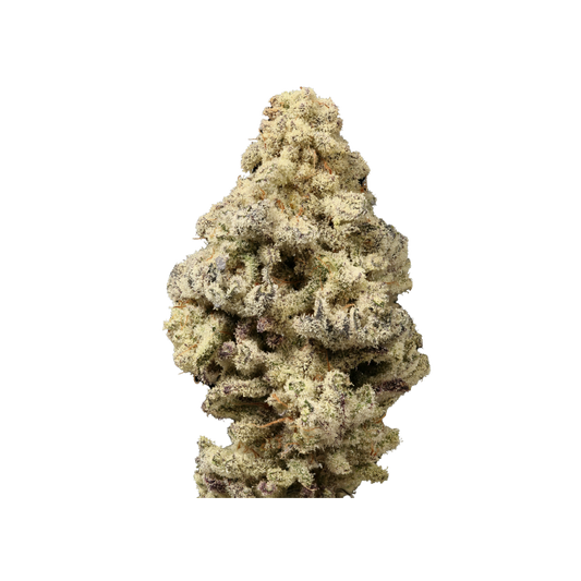 Mac n Cheese Limited Edition 3 + 1 Seeds - Growers Choice