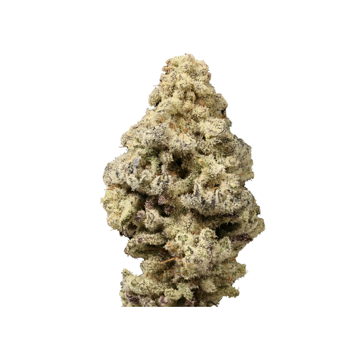 Mac n Cheese Limited Edition 3 + 1 Seeds - Growers Choice