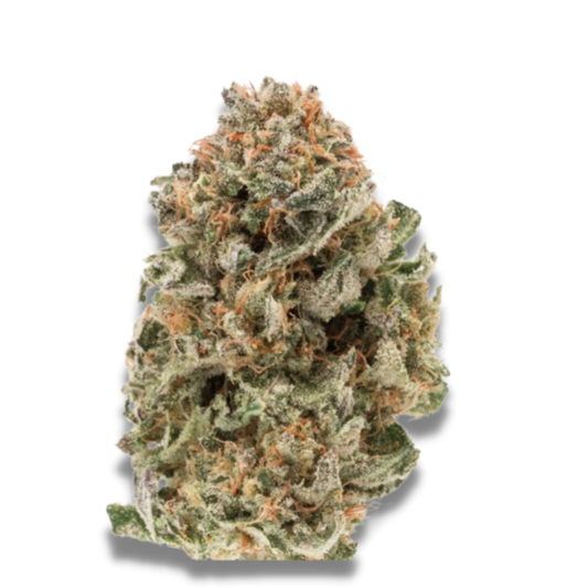 Mighty Amstel Freezeland MAF 3 + 1 Seeds - Growers Choice