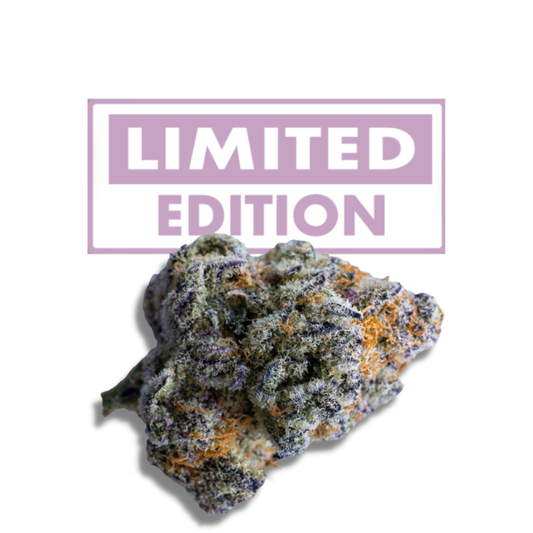Platinum Mimosa Cookies Double XL Autoflower 3 + 1 Seeds - Growers Choice