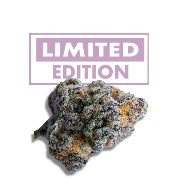 Platinum Mimosa Cookies Double XL Autoflower 3 + 1 Seeds - Growers Choice