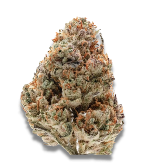 Octane Fire 3 + 1 Seeds - Growers Choice