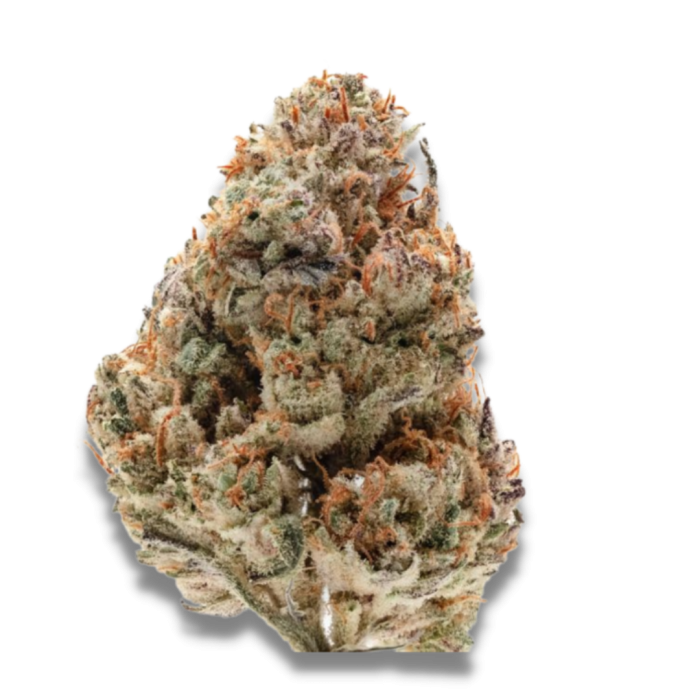 Octane Fire 3 + 1 Seeds - Growers Choice