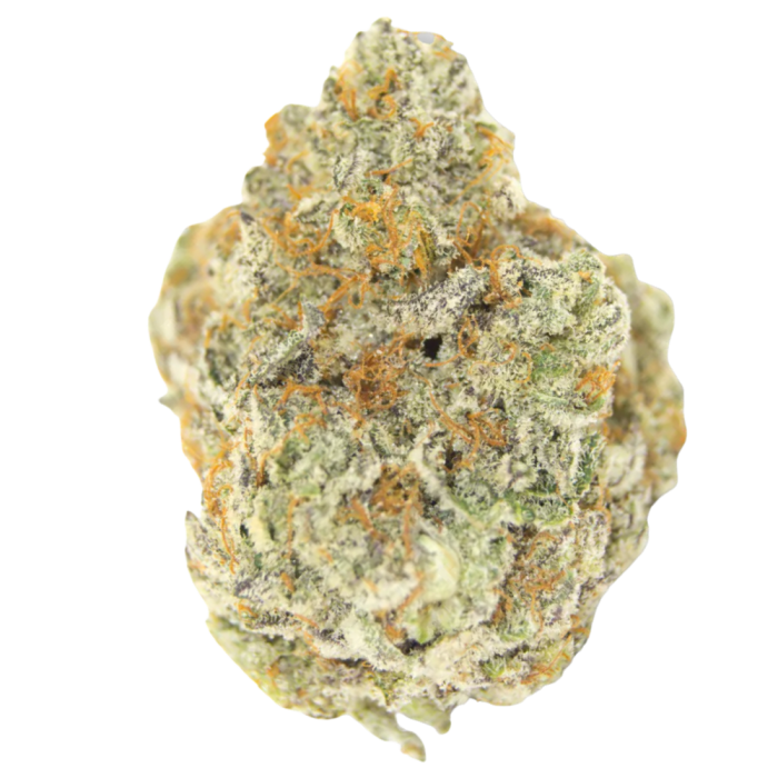 Permanent Whitemarker Autoflower 3 + 1 Seeds - Growers Choice