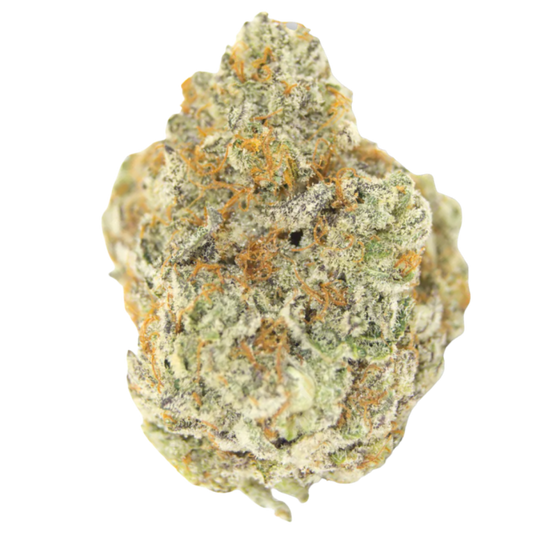 Permanent Whitemarker Autoflower 3 + 1 Seeds - Growers Choice