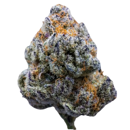 Platinum Mimosa Cookies 3 + 1 Seeds - Growers Choice