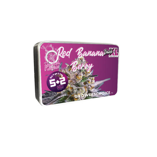 Double xl Red Banana berry 3 + 1 Seeds - Growers Choice