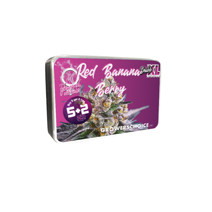 Double xl Red Banana berry 3 + 1 Seeds - Growers Choice