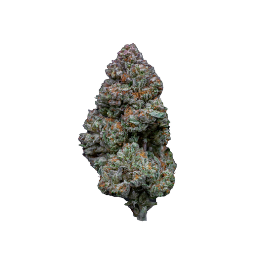 RS11 -  3 + 1 Seeds - Growers Choice