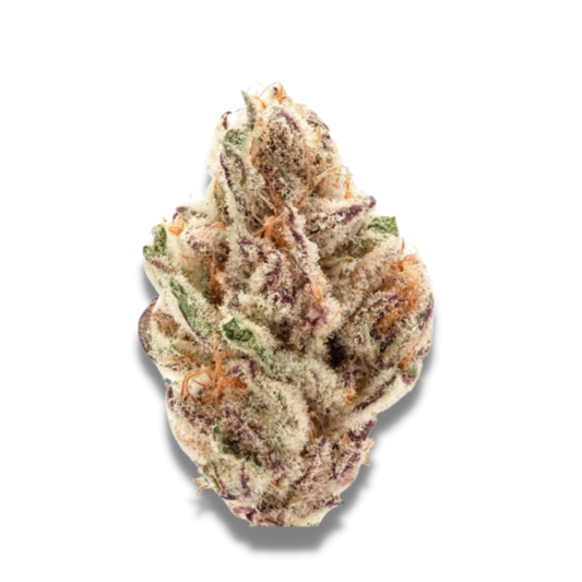 Sour Zkittlez 3 + 1 Seeds - Growers Choice