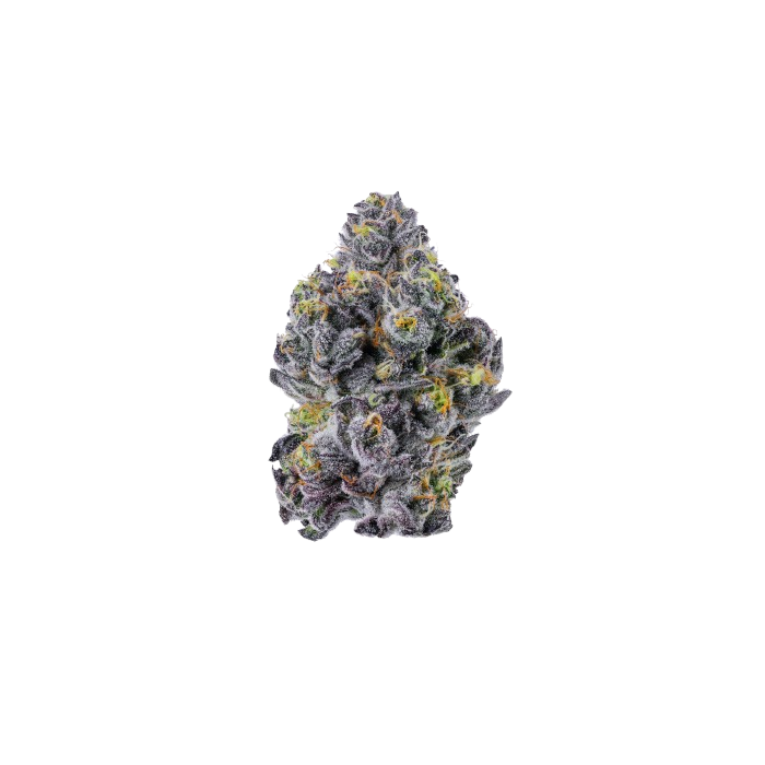 Triploid f1 Sticky wasabi 3 + 1 Seeds - Growers Choice
