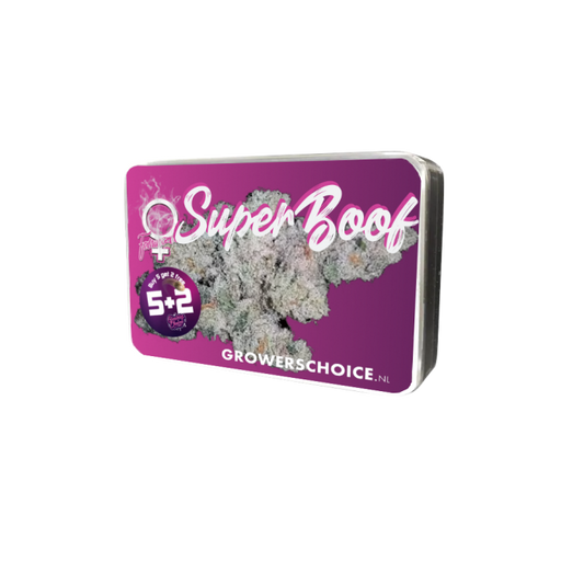 Superboof 3 + 1 Seeds - Growers Choice