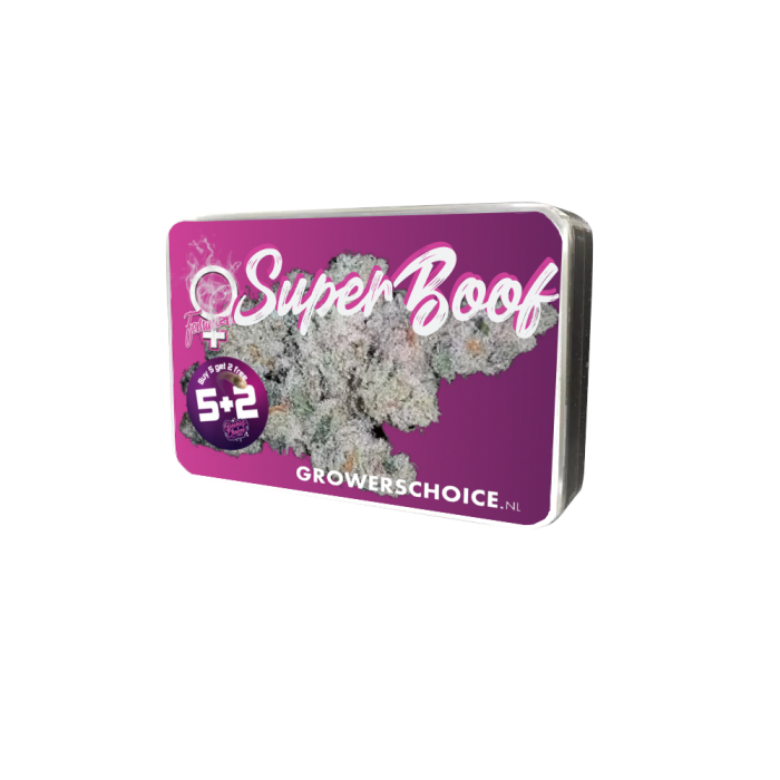 Superboof 3 + 1 Seeds - Growers Choice