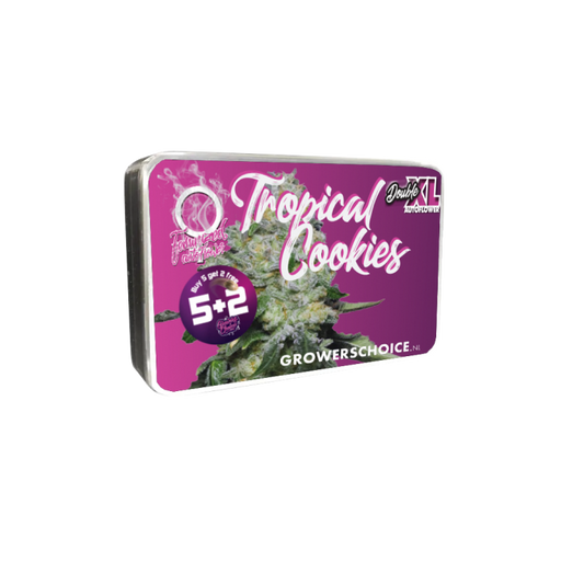 Double xl Tropical Cookies 3 + 1 Seeds - Growers Choice