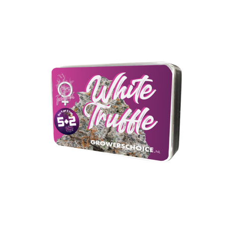 White Truffle Limited Edition 3 + 1 Seeds - Growers Choice