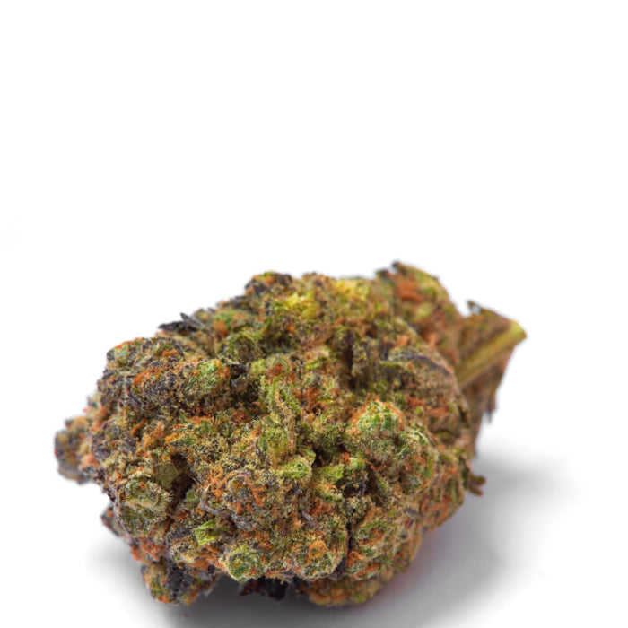 Wifi Punch 3 + 1 Seeds - Growers Choice